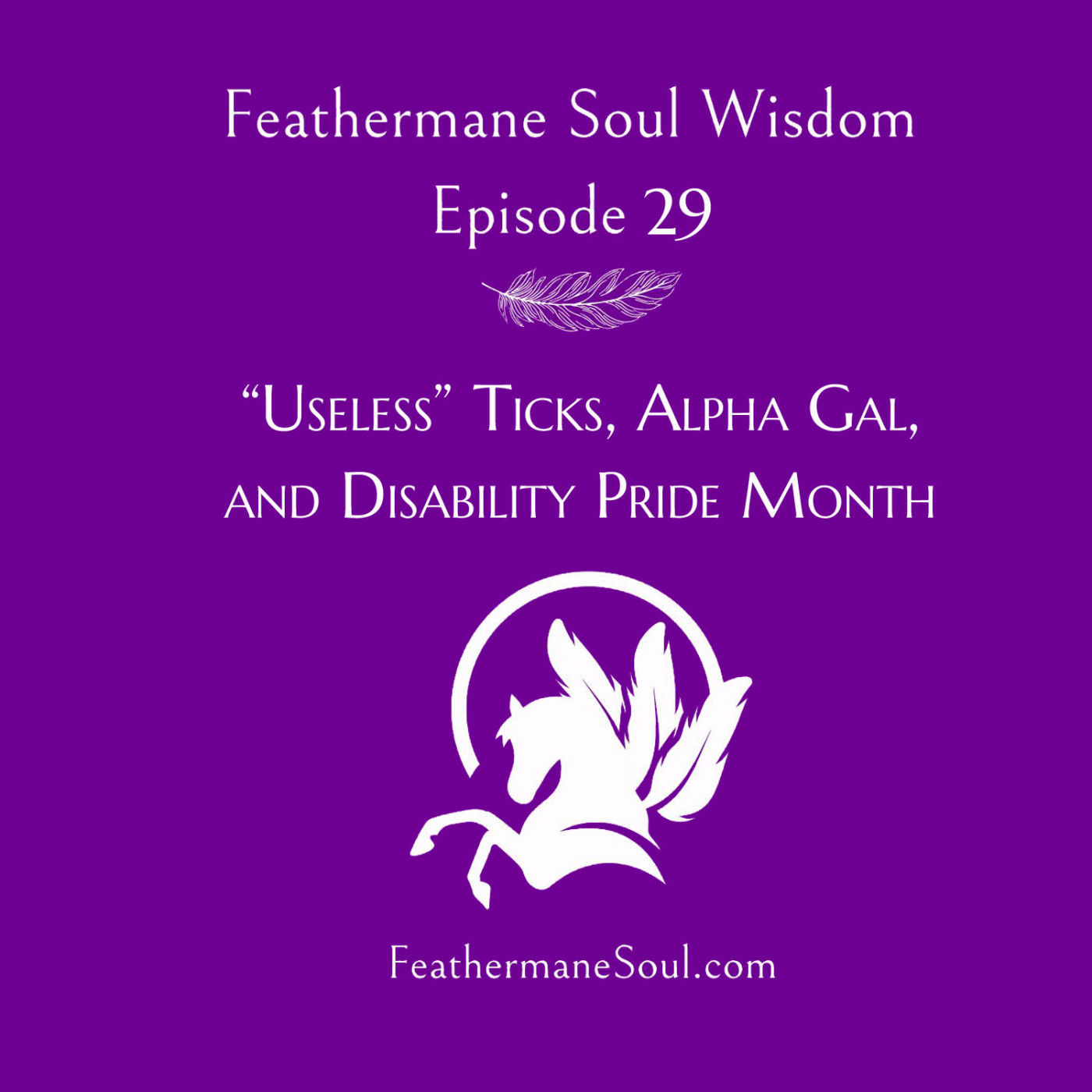 "Useless Ticks", Alpha Gal, and Disability Pride episode artwork